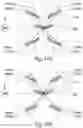 Fig. 48 - Multiplexed multi-view scanning aerial cameras