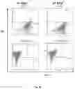 Fig. 05 - Animal models and therapeutic molecules