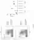Fig. 16 - Animal models and therapeutic molecules