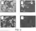 Fig. 07 - Process for the preparation of pickering emulsion forming particles by derivatization of cellulose-rich dietary fibers with enzymes and emulsions prepared