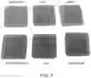 Fig. 02 - ENZYMATIC SYSTEM-CONTAINING COSMETIC COMPOSITIONS