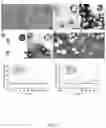 Fig. 04 - Core-shell polymer nanoparticle