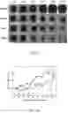 Fig. 07 - Core-shell polymer nanoparticle