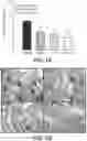 Fig. 02 - USE OF DELTA-TOCOTRIENOL FOR TREATING CANCER