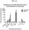 Fig. 09 - METHODS AND COMPOSITIONS RELATING TO PERSONALIZED PAIN MANAGEMENT