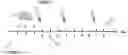 Fig. 01 - METHOD FOR ACTIVATING IMMUNOCYTES IN VITRO