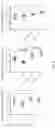 Fig. 12 - METHOD FOR ACTIVATING IMMUNOCYTES IN VITRO