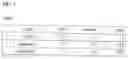 Fig. 02 - Compositions comprising unsaturated fatty acids and nitric oxide releasing compounds and use thereof for enhancing cognitive and related functions
