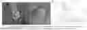 Fig. 01 - Mechanistic bacterial efector to prevent apoptosis of human beta cells