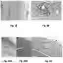 Fig. 03 - Tilapia virus and uses thereof