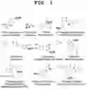 Fig. 02 - Method for preparing fluorine-18-labeled fluoromethyl-substituted radiopharmaceuticals using selective azide substitution reaction and precursor scavenging