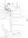 Fig. 08 - Exercising device with rehabilitation function