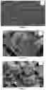 Fig. 12 - Method for preventing and reducing microorganism growth using a spinel ferrite composition