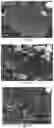 Fig. 13 - Method for preventing and reducing microorganism growth using a spinel ferrite composition