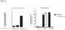 Fig. 31 - Methods for modulating an immune response