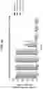 Fig. 90 - Methods for modulating an immune response