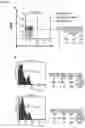 Fig. 03 - PHARMACEUTICAL PREPARATION FOR USE IN TREATING EPSTEIN- BARR VIRUS POSITIVE PATIENTS WITH REACTIVATION PHENOMENON- ASSOCIATED DISEASES
