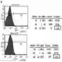 Fig. 04 - PHARMACEUTICAL PREPARATION FOR USE IN TREATING EPSTEIN- BARR VIRUS POSITIVE PATIENTS WITH REACTIVATION PHENOMENON- ASSOCIATED DISEASES