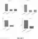 Fig. 06 - Expression vector and method
