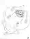 Fig. 02 - Spindle nut retainer