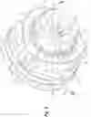 Fig. 06 - Spindle nut retainer