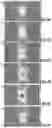 Fig. 07 - Method for observing a sample by lensless imaging