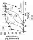 Fig. 02 - Detection of Misfolded Alpha Synuclein Protein