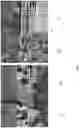Fig. 06 - Method and system for analyzing surroundings of an autonomous or semi-autonomous vehicle