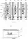 Fig. 09 - Signal line capacitance compensation circuit and display panel