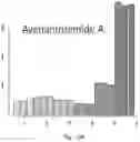 Fig. 18 - Consumable Product Comprising Malted Dehulled Oats