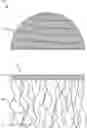 Fig. 01 - MODULAR HAIR SYSTEM