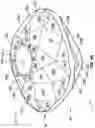 Fig. 06 - Gemstone and methods of cutting the same