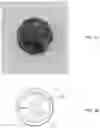 Fig. 02 - LUCKY COIN-BASED TOKEN