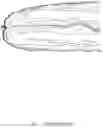 Fig. 02 - METHOD FOR BRAIDING HAIR