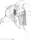 Fig. 09 - METHOD FOR BRAIDING HAIR