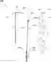Fig. 01 - HAIR SETTING TOOL