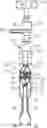 Fig. 01 - Surgical extractor