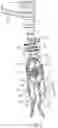 Fig. 07 - Surgical extractor