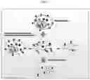 Fig. 02 - Nanovesicles derived from cell membrane, and use thereof