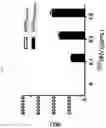 Fig. 09 - Nanovesicles derived from cell membrane, and use thereof