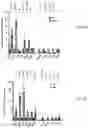 Fig. 02 - Methods of enhancing immunity