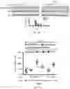 Fig. 05 - Methods of enhancing immunity