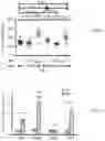 Fig. 06 - Methods of enhancing immunity