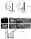 Fig. 10 - Methods of enhancing immunity