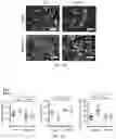 Fig. 11 - Methods of enhancing immunity