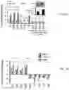 Fig. 12 - Methods of enhancing immunity