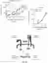 Fig. 24 - Methods of enhancing immunity