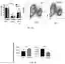 Fig. 28 - Methods of enhancing immunity