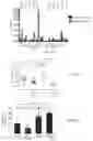 Fig. 41 - Methods of enhancing immunity