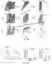 Fig. 45 - Methods of enhancing immunity